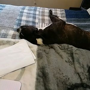 Meet your Posher, Sandra